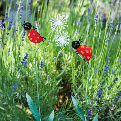 Floristik24 Plug décoratif coccinelle, déco printanière, pissenlit avec scarabée, plug métal L55cm lot de 3