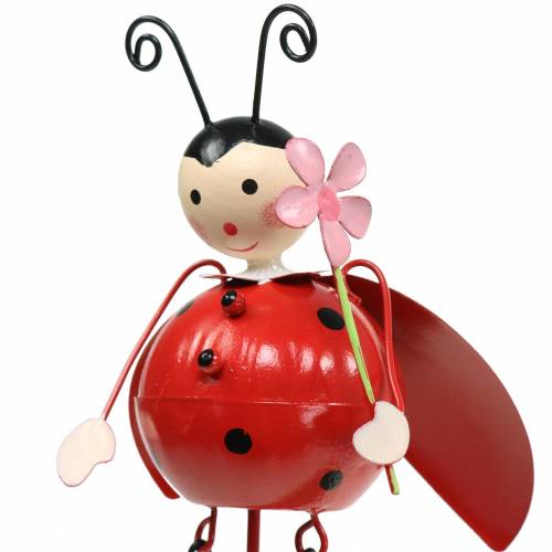 Floristik24 Plug déco coccinelle métal H35cm 3pcs