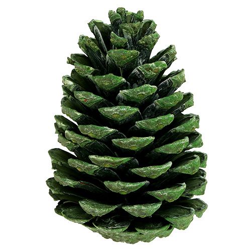 Article Cônes Maritima 10cm - 16cm vert givré 12 pcs