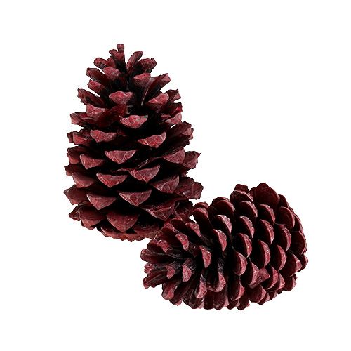 Article Cônes Maritima 10-15cm rouge givré 12 pcs