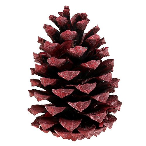 Article Cônes Maritima 10-15cm rouge givré 12 pcs