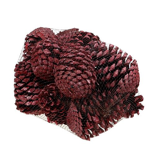 Article Cônes Maritima 10-15cm rouge givré 12 pcs