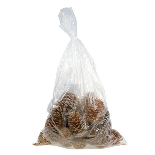 Article Maritima cônes crème-vanille mélangés 5-18cm 25 pcs