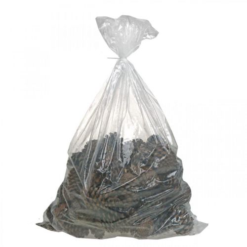 Article Cônes Maritima, fleuristerie de deuil, décoration de l&#39;Avent, produit naturel H12-15cm Ø6,5-10cm 50 pièces