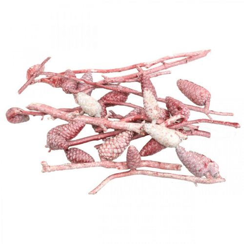 Floristik24 Cône maritime sur branche ciré rose/blanc 400g