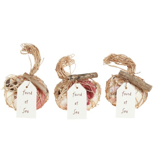 Article Coquillages décoratifs maritimes mélangés dans le filet coloré 3,5-6cm 300g × 3pcs