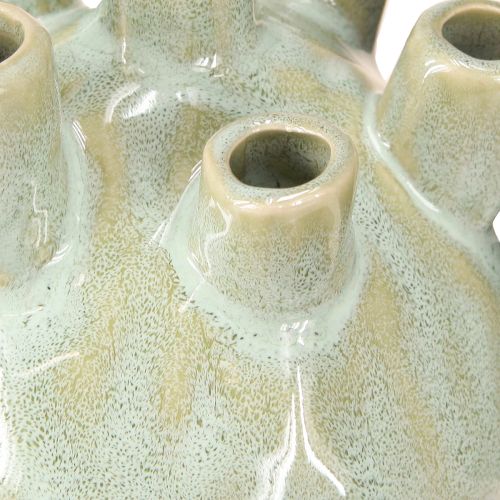 Article Vase Décoration Maritime Corail Optique Vert Clair Ø11.5cm H10cm