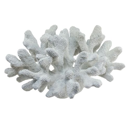 Floristik24 Décoration maritime corail polyrésine blanc 38cm × 44cm × 27cm