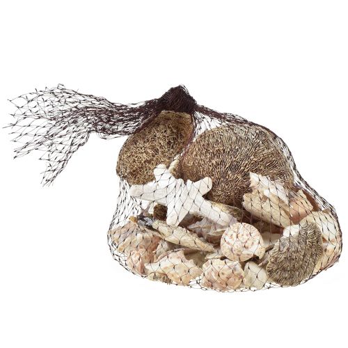 Article Décoration de table maritime décoration dispersée décoration naturelle blanc naturel 400g