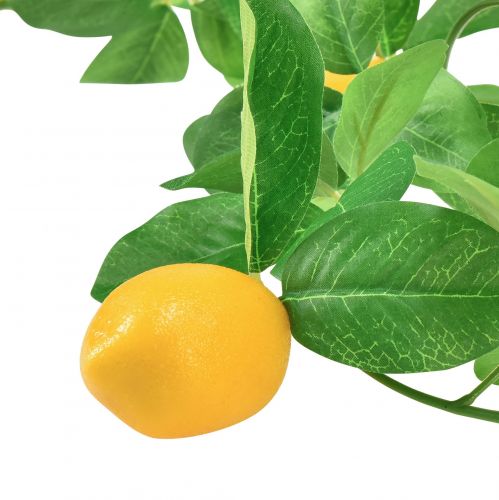 Floristik24 Guirlande décoration méditerranéenne décoration citron artificielle 165cm