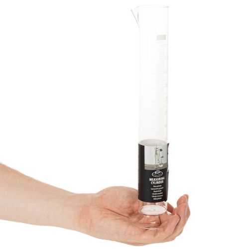 Éprouvette en verre transparent avec socle, 250 ml, 30 cm | Floristik24.fr