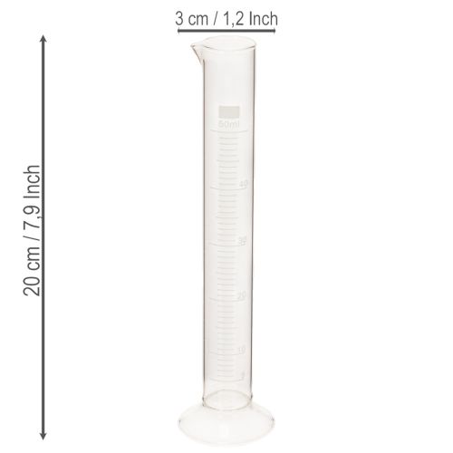 Cylindre gradué en verre avec base 50 ml 20 cm | Floristik24.fr