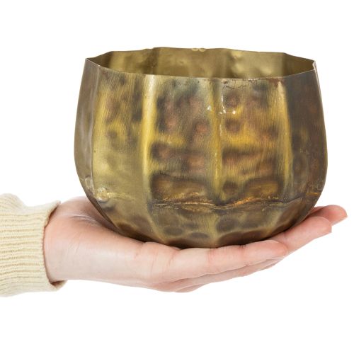 Pot de fleurs décoratif en métal, laiton, Ø22/18/14 cm, lot de 3 | Floristik24.fr