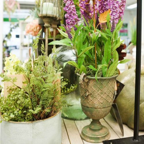 Floristik24 Gobelet en métal à planter, gobelet avec anses, jardinière Ø25cm H43cm