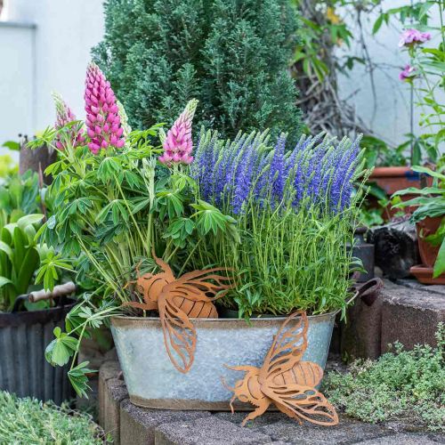 Floristik24 Bac à plantes en métal, bac à plantes avec anses, coupe à fleurs argentée, patinée L45cm H17,5cm