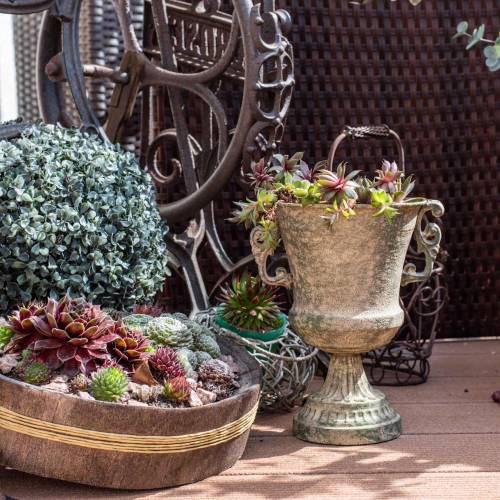 Floristik24 Coupe en métal gobelet mousse vert beige Ø16cm H24cm