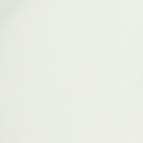 Article Plateau avec poignées pratiques pour une utilisation polyvalente à la maison et dans la restauration, 22 cm