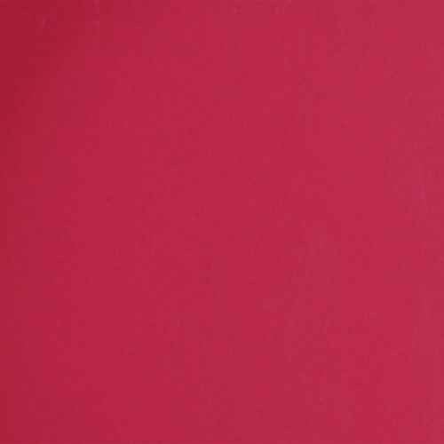 Article Plateau polyvalent, rangement pratique pour la salle à manger et la terrasse, 22 cm