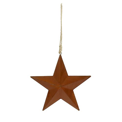 Floristik24 Etoile en métal pour suspendre la rouille 21cm