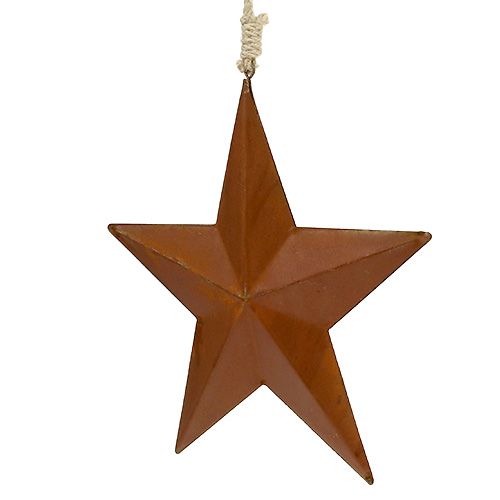Floristik24 Etoile en métal pour suspendre la rouille 21cm
