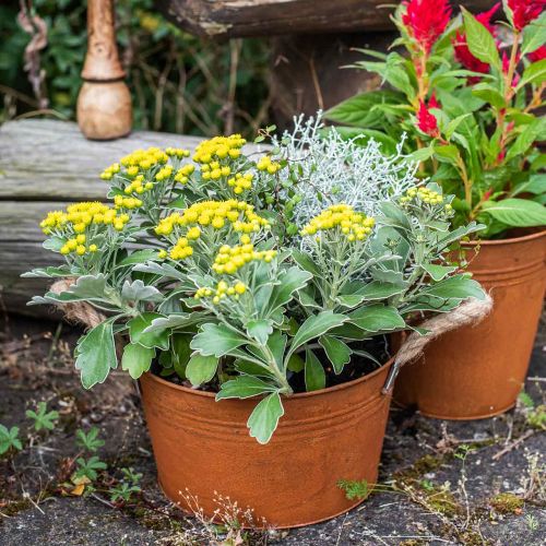 Floristik24 Pot métal anses corde, coupe plante, automne, patine Ø22cm H12cm