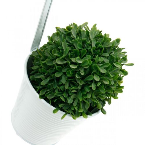 Floristik24 Jardinière, cache-pot à suspendre, décoration florale, pot suspendu blanc Ø13,5cm