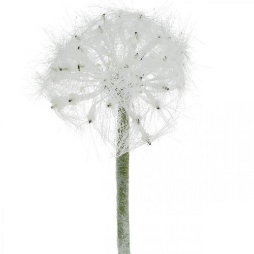 Floristik24 Pissenlit LED pour éclairage fleur artificielle blanche à piles H50cm