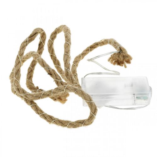 Floristik24 Guirlande lumineuse LED cordon pour intérieur 20 micro LED blanc chaud 95cm