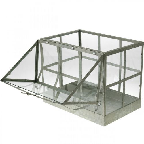 Floristik24 Mini Serre Petite Maison en Verre Décorative Métal Verre H51cm