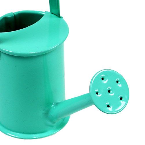 Floristik24 Mini arrosoirs genre pastel. Ø4cm 12pcs