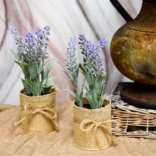 Floristik24 Mini lavande en pot Plantes artificielles Déco lavande artificielle