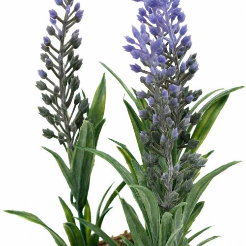Floristik24 Mini lavande en pot Plantes artificielles Déco lavande artificielle