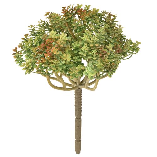 Floristik24 Mini plante succulente artificielle verte artificielle avec tige H23cm