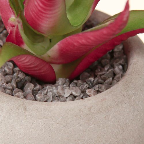 Article Mini Plantes Succulentes en Pot Plantes Artificielles Décoration Ø6,5cm 6pcs