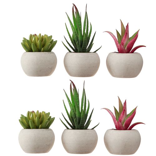 Article Mini Plantes Succulentes en Pot Plantes Artificielles Décoration Ø6,5cm 6pcs