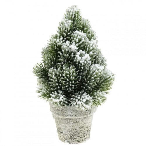 Floristik24 Mini sapin de Noël en pot enneigé artificiellement Ø14cm H24cm