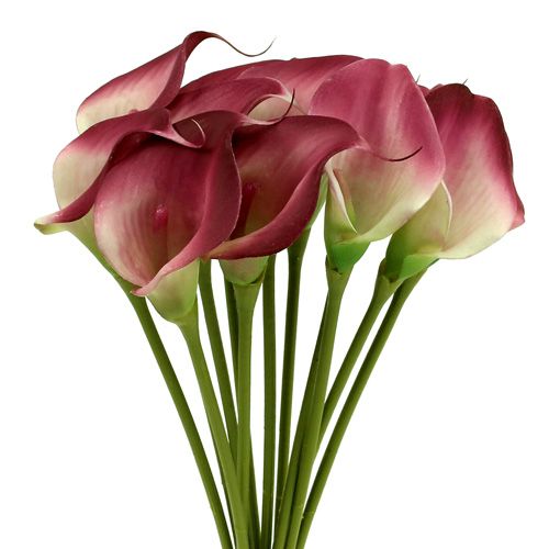 Article Mini calla artificielle 28cm Erika, crème 12 pcs