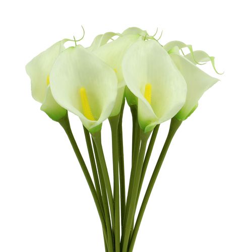 Article Mini calla artificielle blanc L 28cm 12pcs