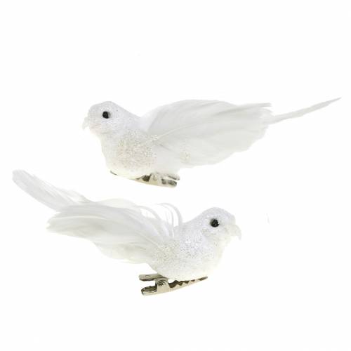 Floristik24 Mini pigeon sur le clip 9cm 2pcs