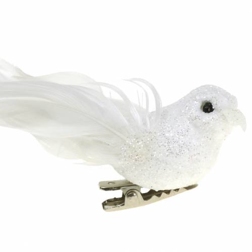 Floristik24 Mini pigeon sur le clip 9cm 2pcs