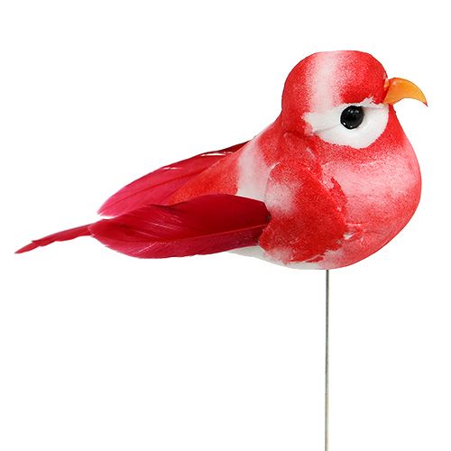 Floristik24 Petit oiseau multicolore 7cm 12P
