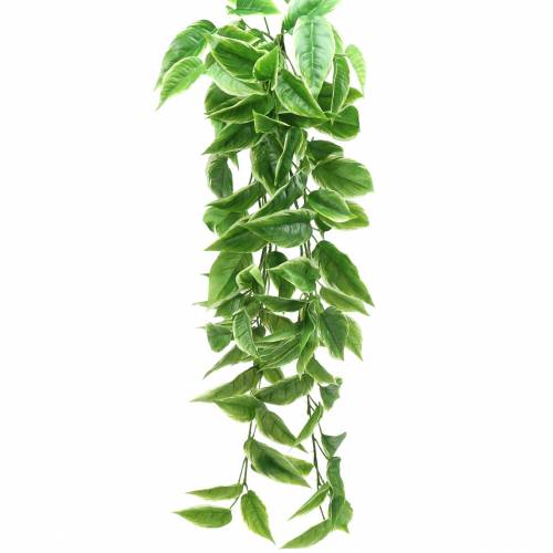 Funkie à bords blancs vert artificiel, blanc 100cm