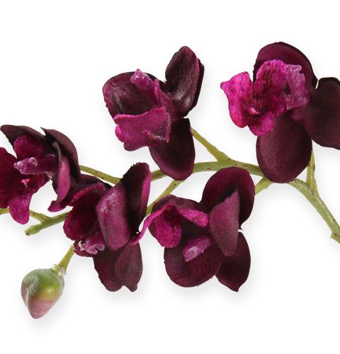 Floristik24.fr Mini-orchidée artificielle avec racines violet 37cm 3pcs -  acheter pas cher en ligne