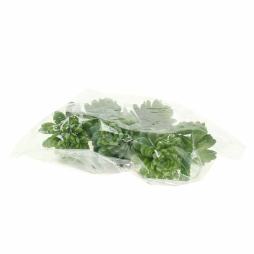 Floristik24 Mini - succulentes 6.5cm 6pcs