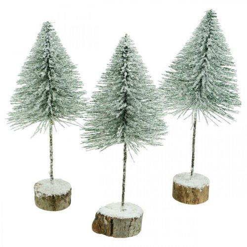 Floristik24 Sapins déco, décorations hiver, sapin de Noël, Avent H30 / 32cm Ø13,5cm lot de 3