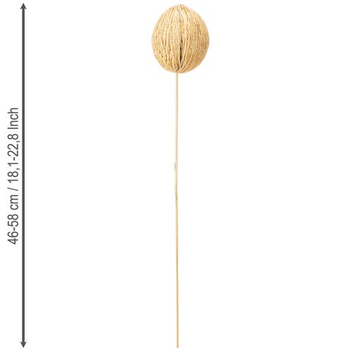 Article Boule Mintolla blanchie 8cm - 10cm L46cm 6 pcs