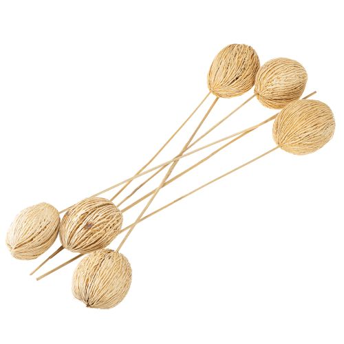 Article Boule Mintolla blanchie 8cm - 10cm L46cm 6 pcs