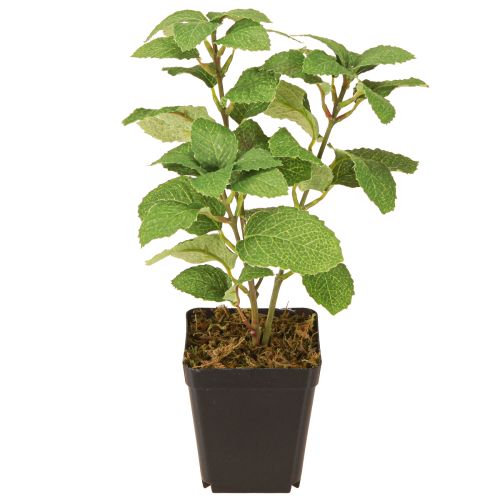 Article Menthe en pot Herbes artificielles Plante verte H24cm