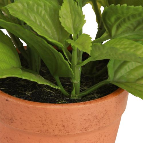 Article Menthe en pot Herbes artificielles Plantes artificielles 18cm 2pcs