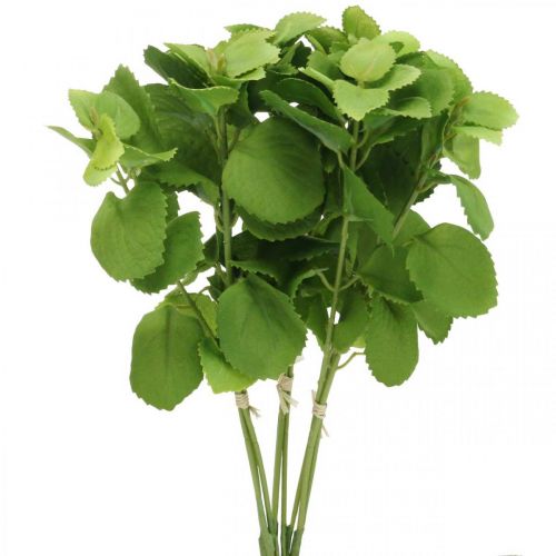 Floristik24 Vert menthe artificielle, branches de menthe déco, fleur en soie L32cm 3pcs